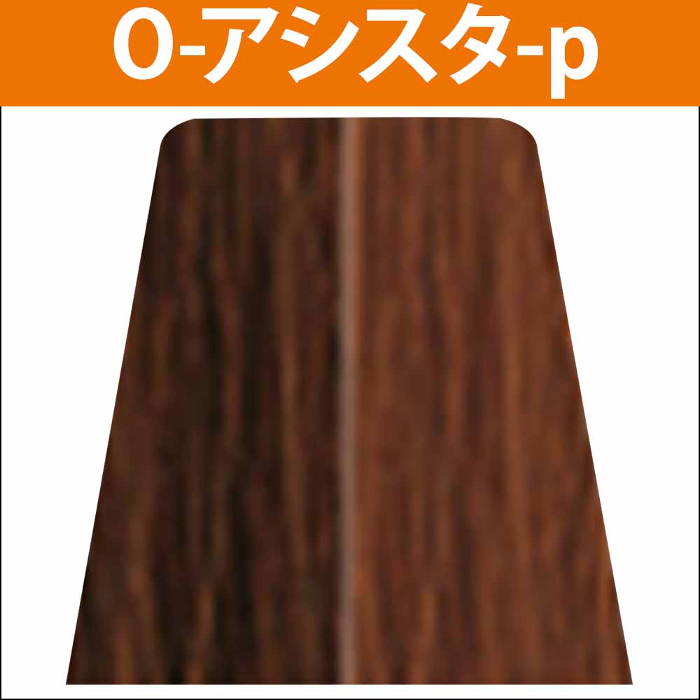 楽天市場】ナカノ キャラデコ パブェ アクティブゾーン O オレンジ 第1