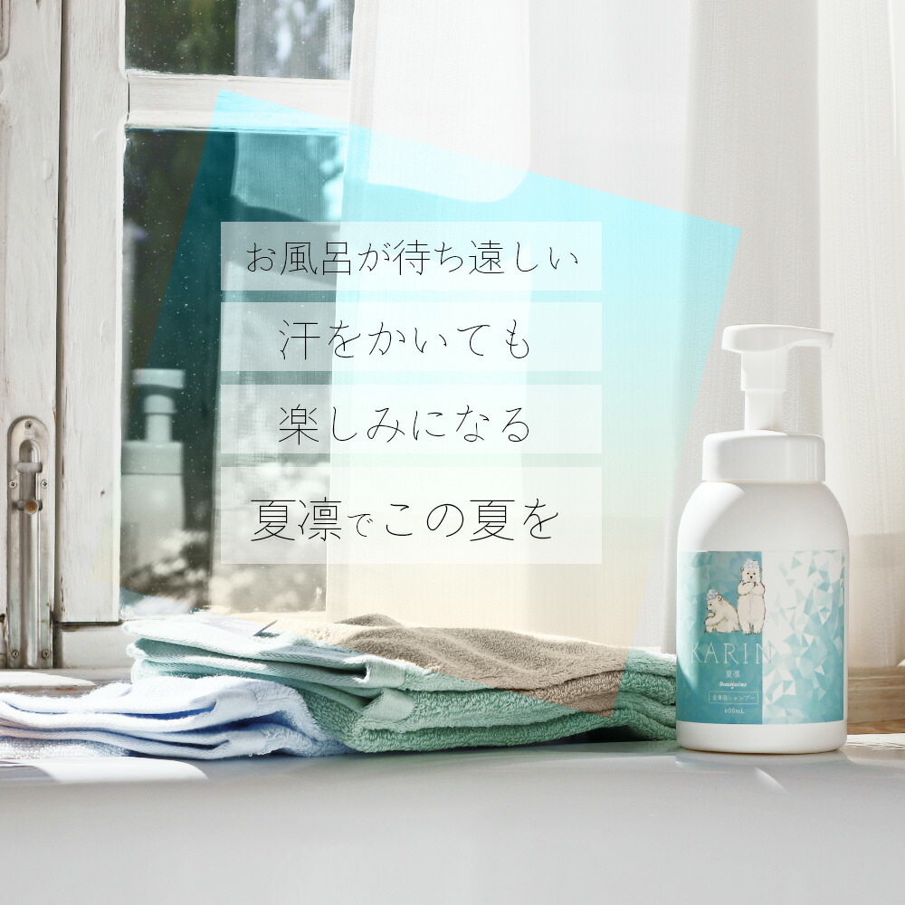 楽天市場】シャンプー クール KARIN 夏凛 全身シャンプー 600mL ミント