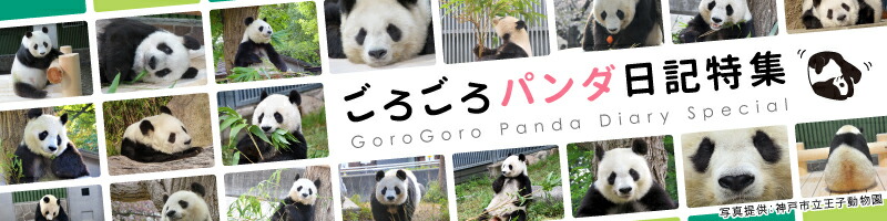 楽天市場 | NHKスクエア DVD・CD館 - NHKグッズの専門店、NHK