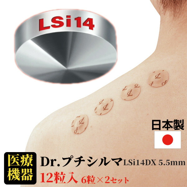 楽天市場】プチシルマdx5．5の通販