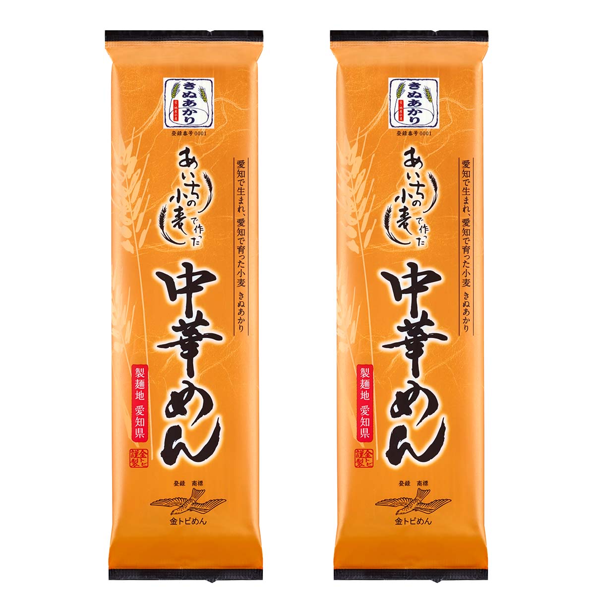 コスタリカ産 アウリガヌスキンイロコガネ 26mm お買い得 コスタリカ産