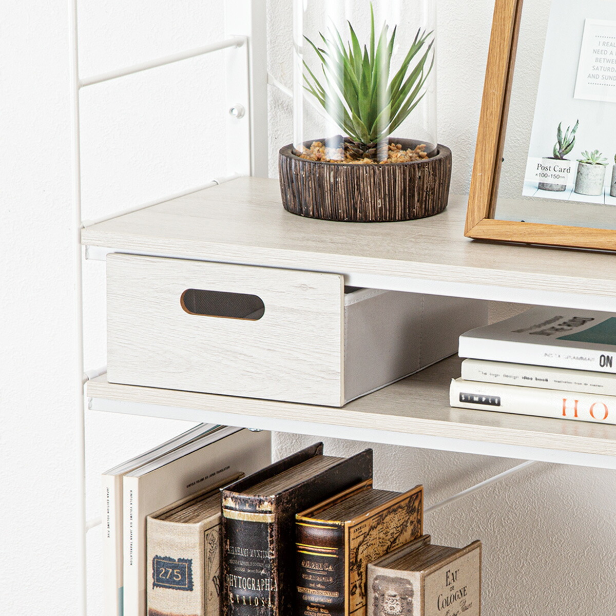 楽天市場】【Nポルダ・Nポルダディープ用】引出し(幅19cm 高さ10cm C8