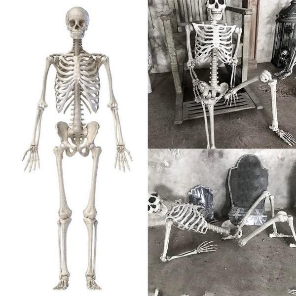 楽天市場】☆等身大サイズ☆ リアルな見た目 人体模型 骨格標本 約