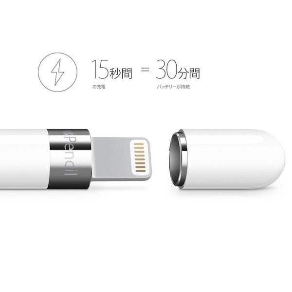 楽天市場】アップル 純正 新品 Apple純正 Apple Pencil アップル