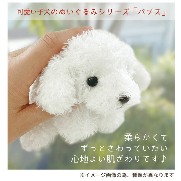 楽天市場】10727-29 モンスイユ オリジナルぬいぐるみ パプス PUPS