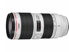 レンズ ef70-200mm f2.8」の人気商品一覧 | 安い商品を通販サイトから