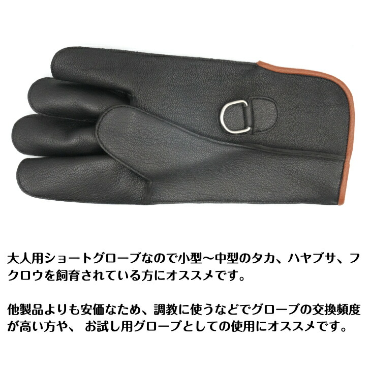 楽天市場】【ショート丈】猛禽用ファルコングローブ【S〜Lサイズ】革