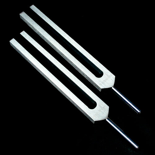 楽天市場】天然石 クリスタルチューナー 正規品 BIOSONICS社製