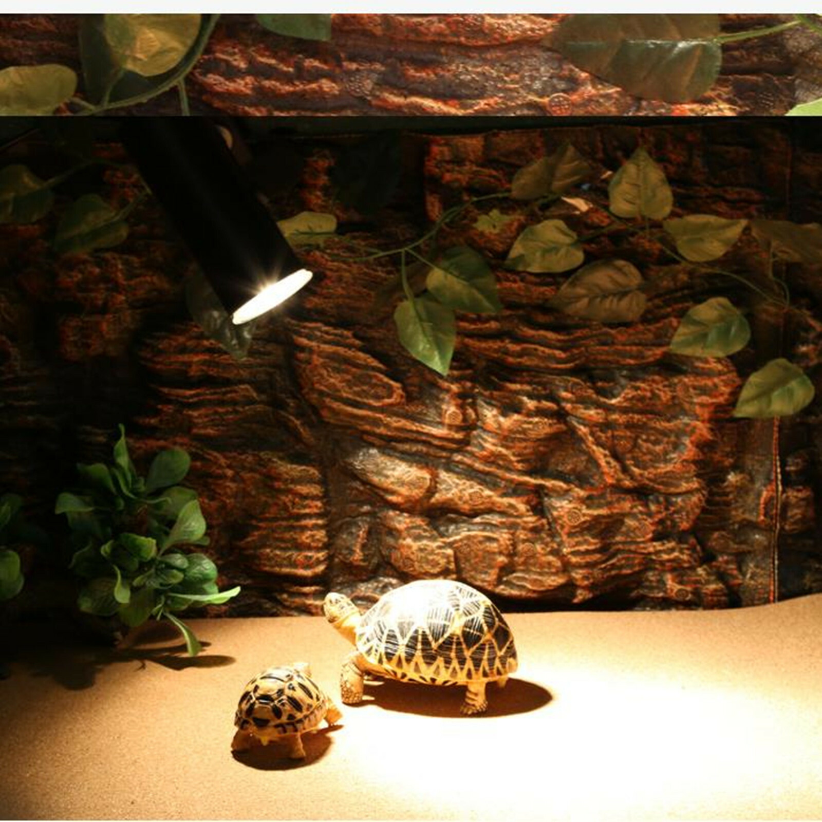 楽天市場】3点セット 保温電球 爬虫類照明 ライト 両生類用ライト UVA