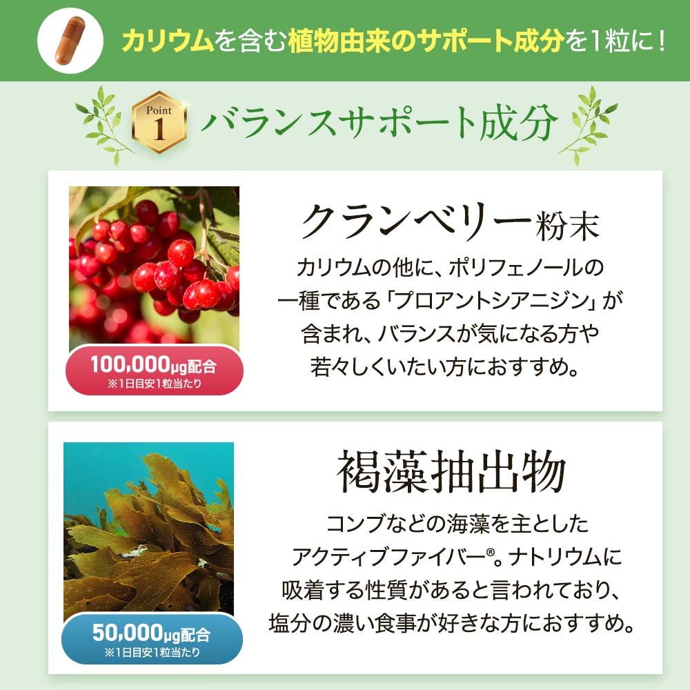 楽天市場】むくMix-ZERO（約3ヶ月分）植物性 ダイエットサプリ