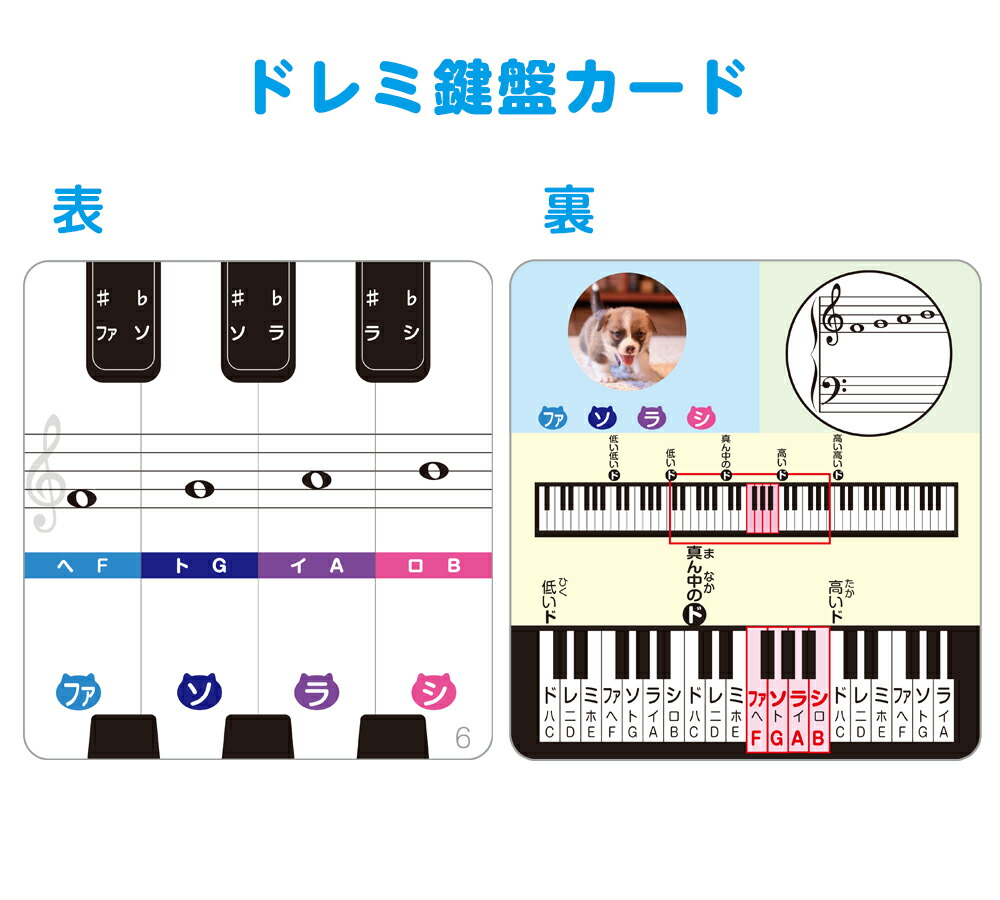 楽天市場】ドレミ鍵盤カード ｜鍵盤と音符をリンクできる鍵盤カード