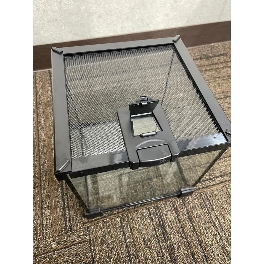 楽天市場】爬虫類 飼育ケース 20×20×20 ガラス 昆虫飼育ケース クモ