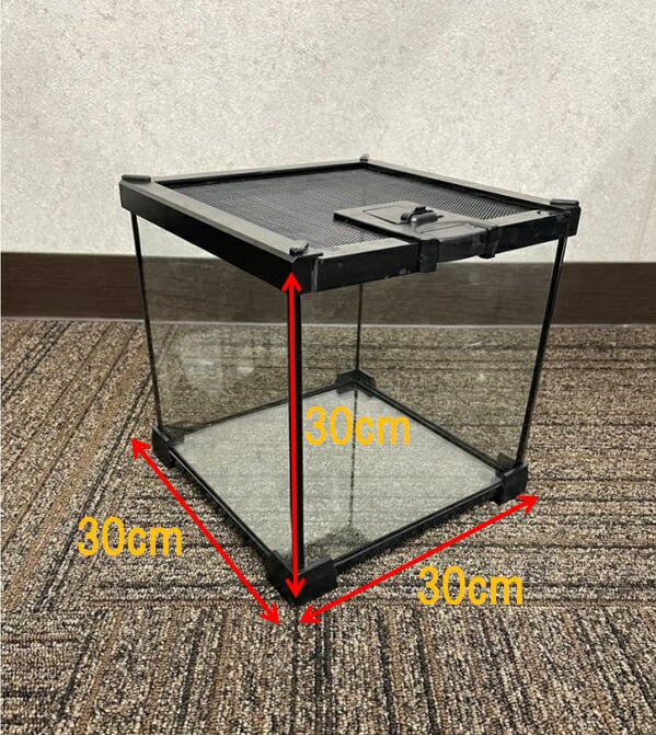 楽天市場】爬虫類 飼育ケース 30×30×30 ガラス 昆虫飼育ケース クモ