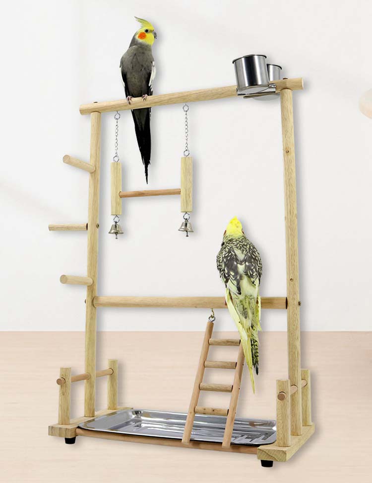 楽天市場】バードアスレチックL バードジム セキセイインコ