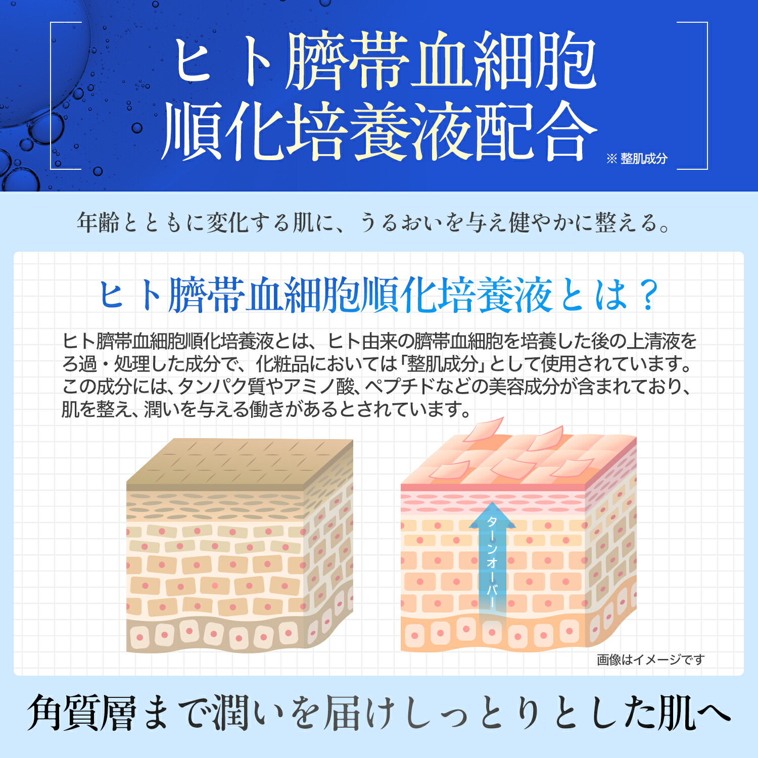 楽天市場】ヒト臍帯血細胞順化培養液 美容液 シリーズ最高濃度50%配合