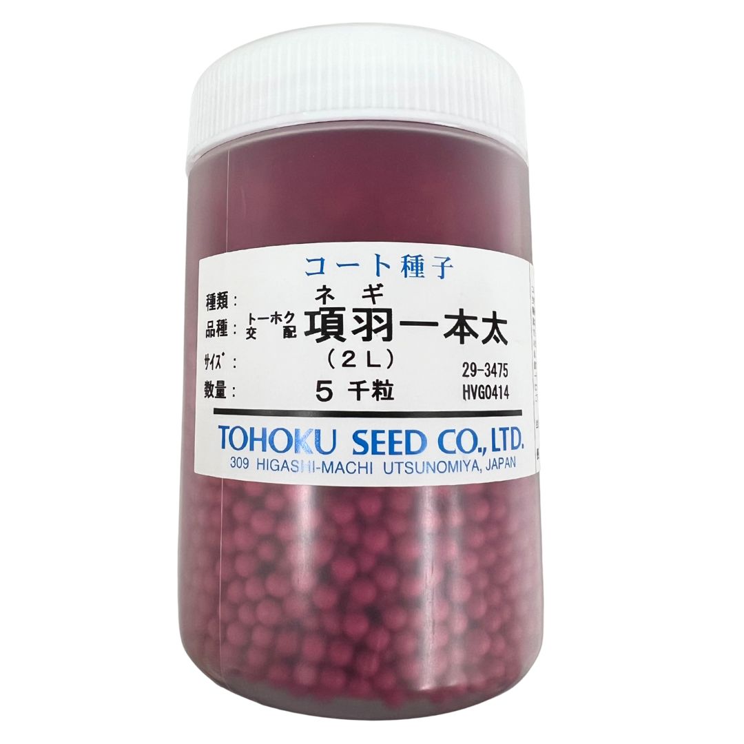 楽天市場】根深ネギ 種 『冬月の雫』 トキタ種苗 : 種兵ネットショッピング