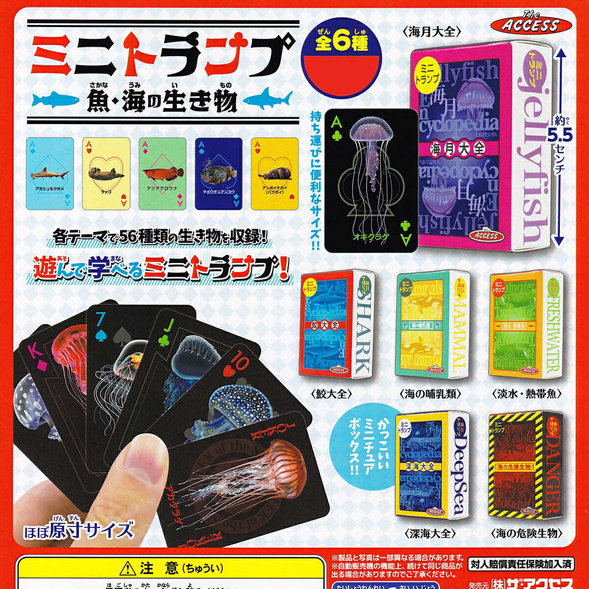 楽天市場】ミニトランプ 魚・海の生き物 ザ・アクセス 【全6種