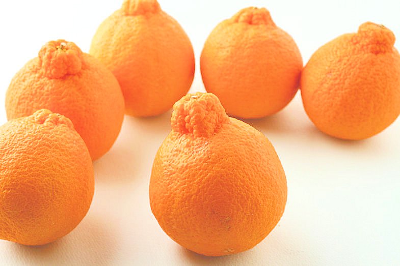 楽天市場】濃厚！高糖度なデコポン（不知火) 18〜24個 和歌山産 送料