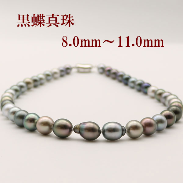 楽天市場】真珠 パール ネックレス 南洋黒真珠 黒蝶真珠 パール