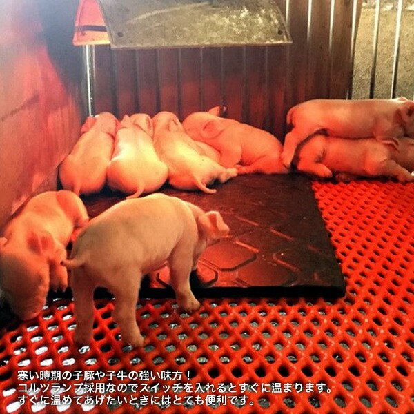 楽天市場】パナソニック コルツヒーター NK-RH12E 畜産ヒーター