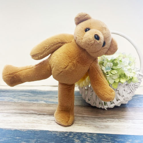 楽天市場】ヨガぬいぐるみ ヨガアニマル 知育ぬいぐるみ ぬいぐるみ