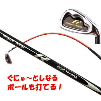 スイングドクター ゴルフ 練習器具」の人気商品一覧 | 安い商品を通販