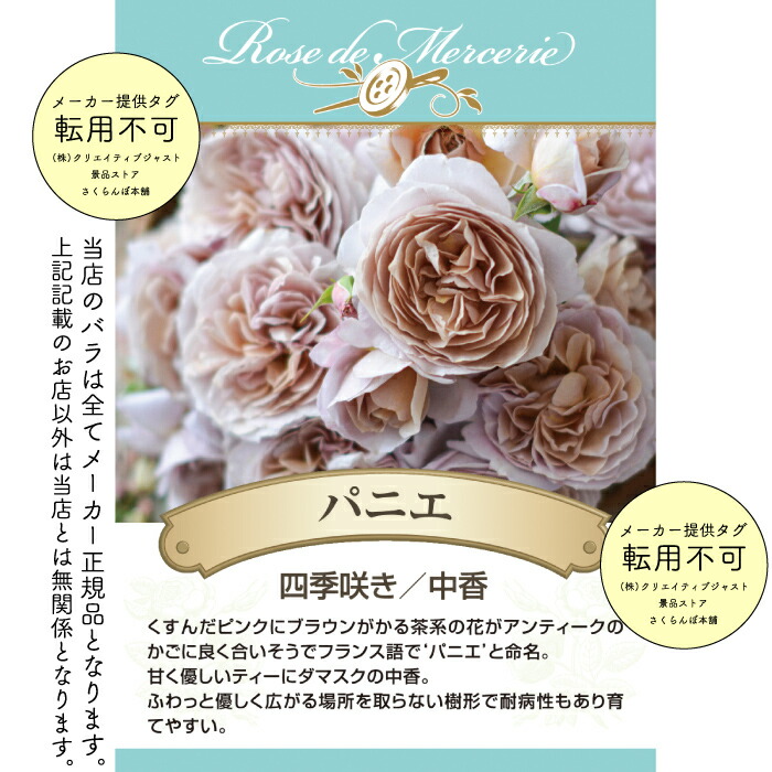 Yunth バラ売り可 最大3個 バラ希望の場合はコメントください Yunth