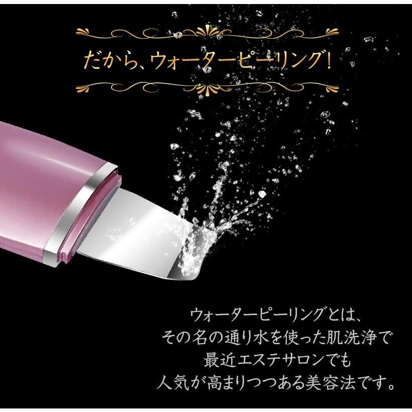 楽天市場】ランキング1位獲得！【美ルル アクアルファ】ピーリング