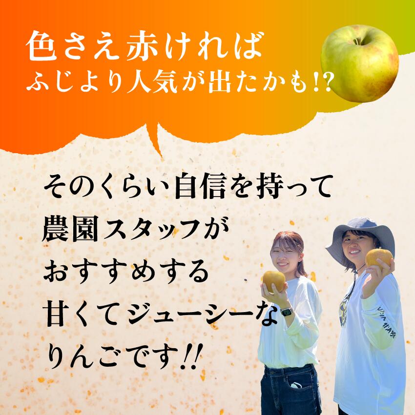 楽天市場】【2月28日まで5%オフクーポン配布中】発送中！マツコDXさん