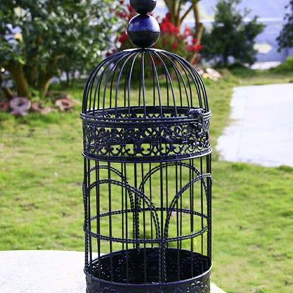 楽天市場】スーパーセール10％OFF 3/11終了 【在庫限り】【ランキング1