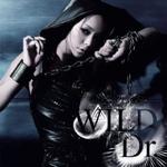楽天市場】【オリコン加盟店】□安室奈美恵 CD+DVD【WILD/Dr.】09/3/18
