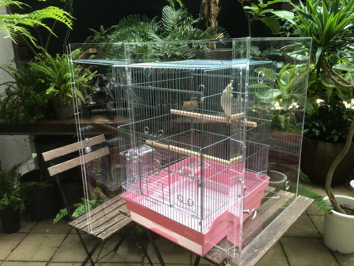 楽天市場】【プレミアム】W500×H500×D485 アクリル バードケージ