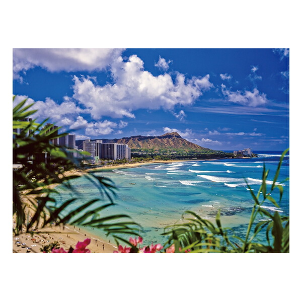 楽天市場】ハワイ アート 写真 壁掛け ウォール デコ ガラスアート