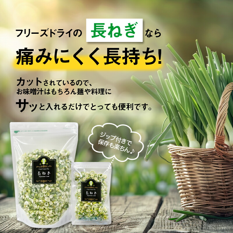 楽天市場】【アミュード公式】長ねぎ フリーズドライ 白ねぎ フリーズ
