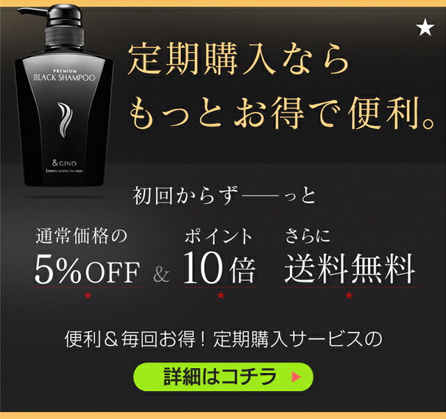 & GINO アンドジーノ プレミアムブラックシャンプー 2本セット アンド