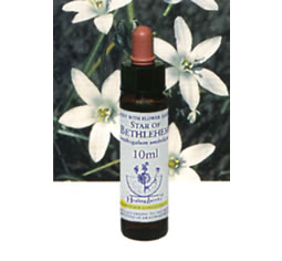 楽天市場】ヒーリングハーブス社 ファイブフラワーレメディの通販