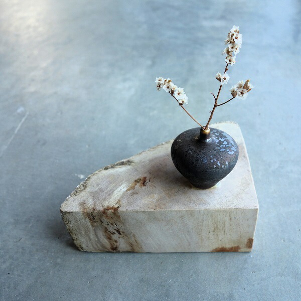 楽天市場】珪化木 ケイカボク G H ペトリファイドウッド おしゃれ