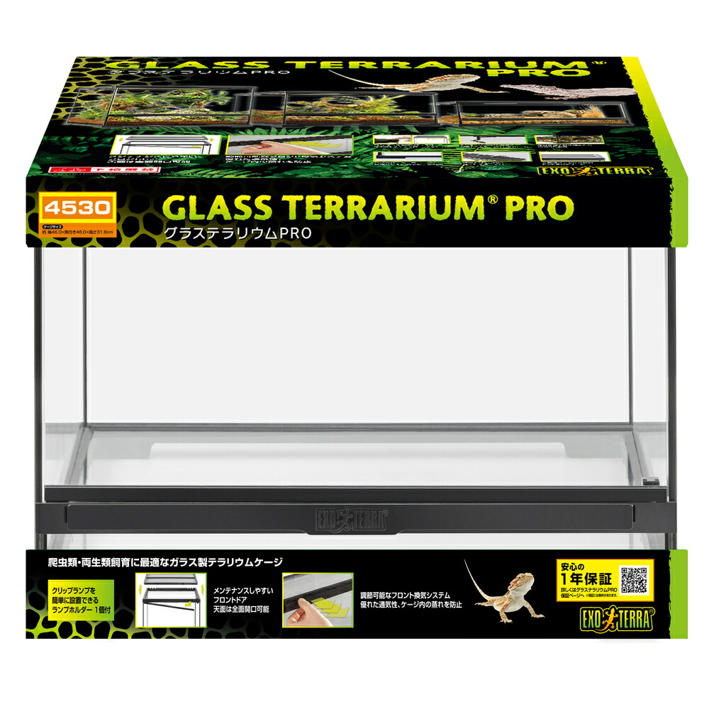 楽天市場】エキゾテラ 4530の通販