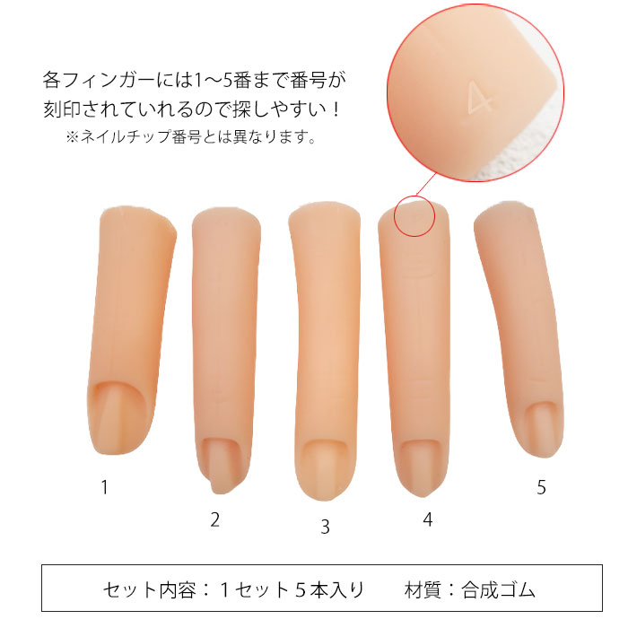 ネイルアート用モデルハンド2本セットとチップ ネイルアート用モデル