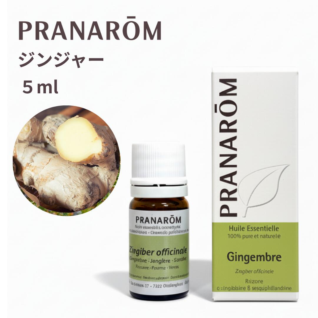 プラナロム 精油」の人気商品一覧 | 安い商品を通販サイトから探す