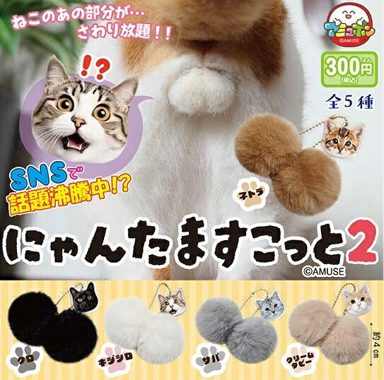 楽天市場】【3月発売予定】 にゃんたますこっと2 【全5種セット】 ※仮