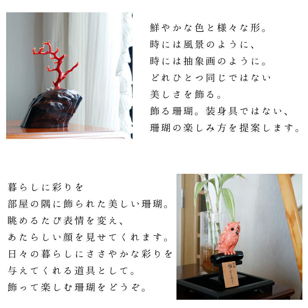 楽天市場】1点物 守り本尊・桃珊瑚 『阿弥陀如来』一光作 3月 誕生石