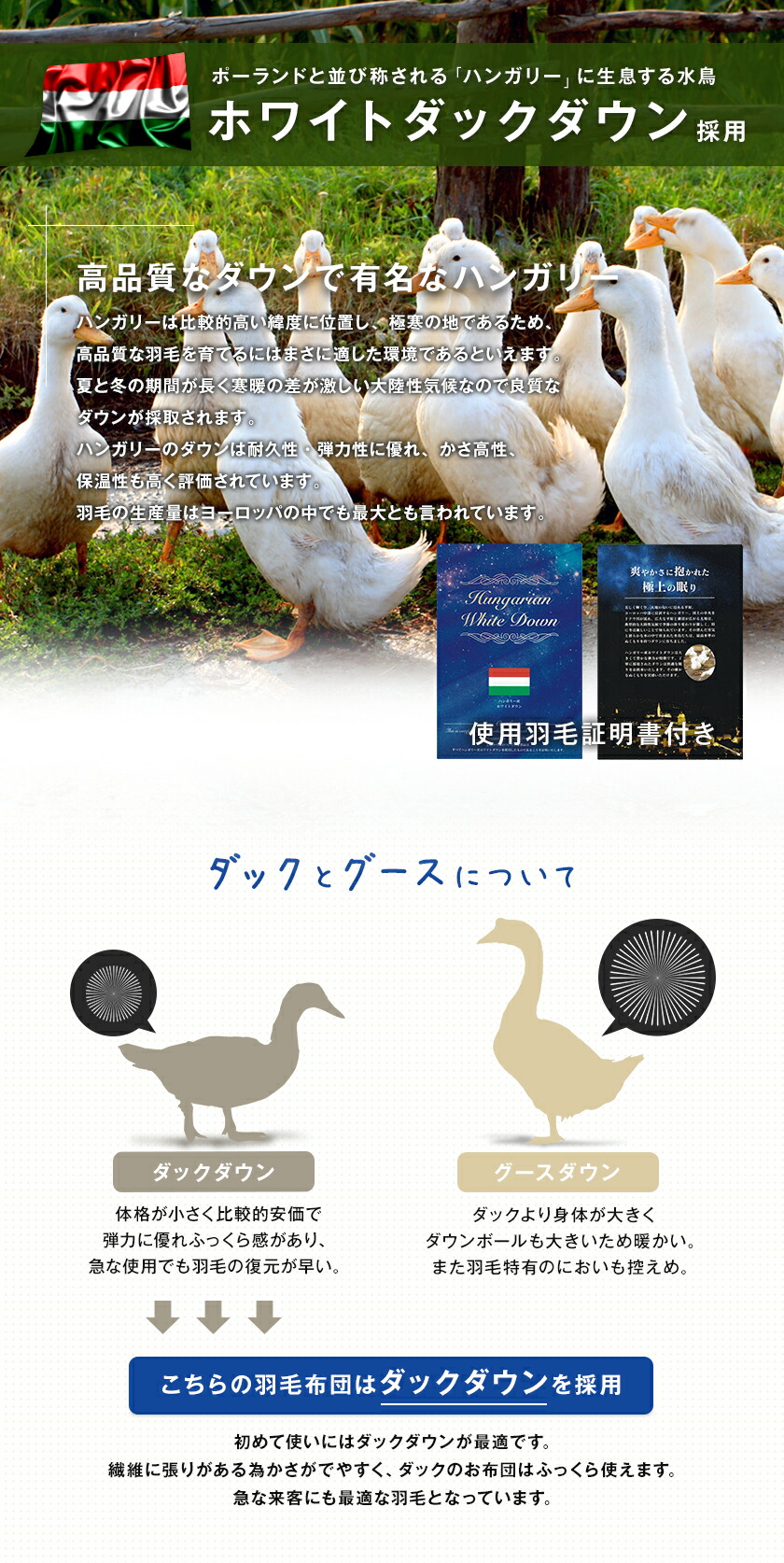 楽天市場】【楽天SS 10%OFF 3/4 20:00開始】高級 羽毛布団 ダブル