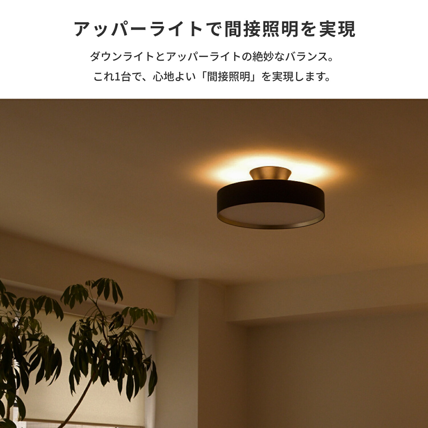 Glow LED Ceiling Lamp ブラック/ライトウッド アートワークスタジオ