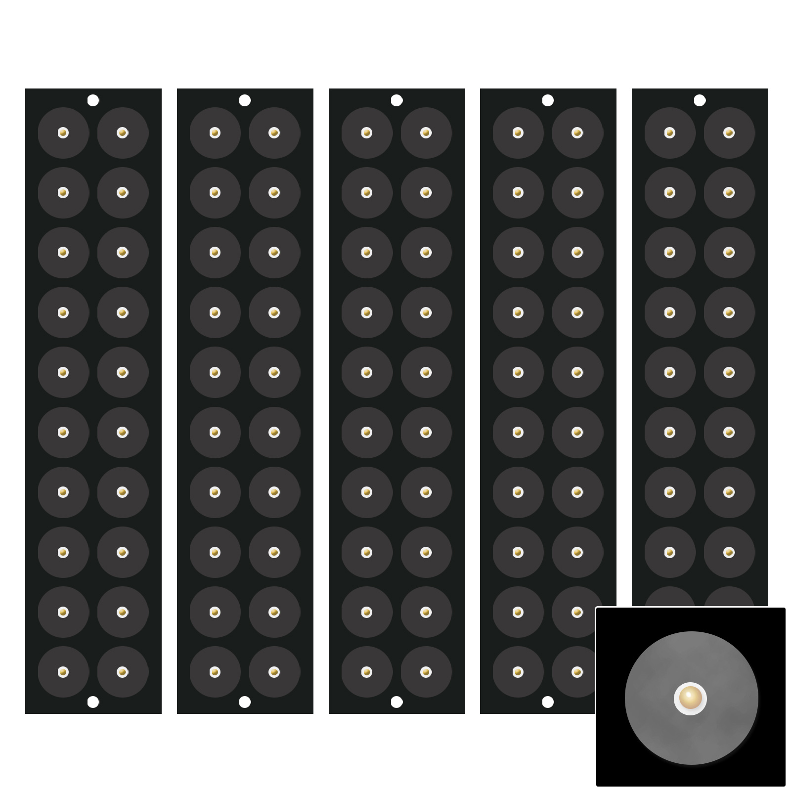 楽天市場】マグレイン チタン クリアの通販