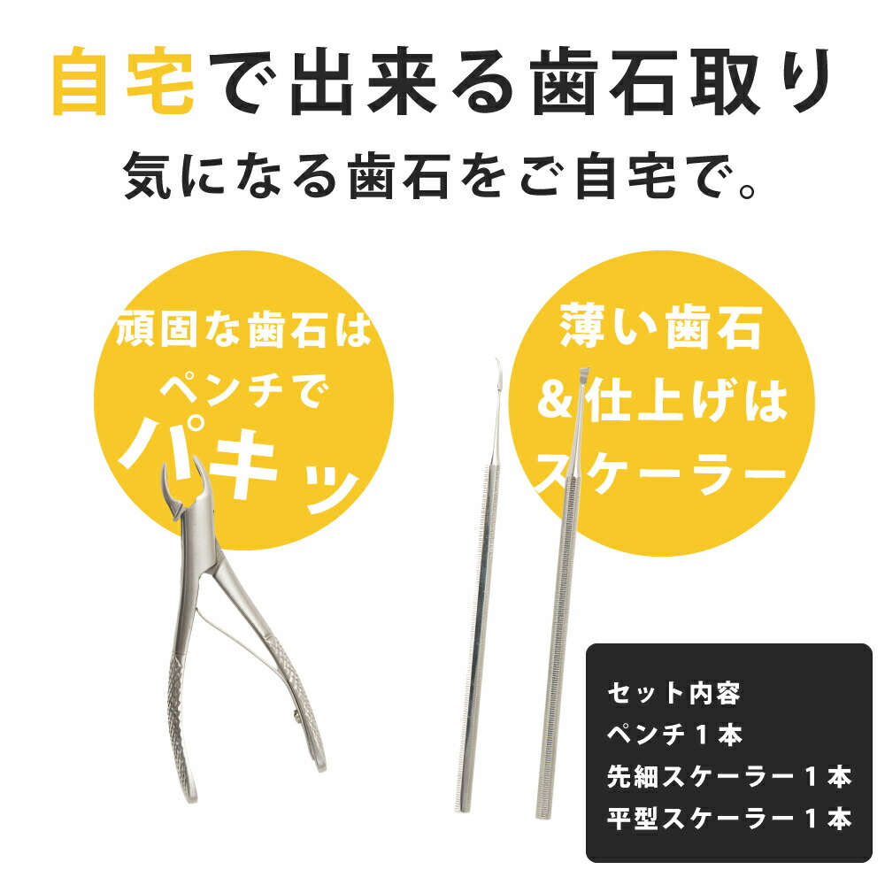 楽天市場】愛犬・愛猫歯石取りペンチとスケラーセット 犬 歯磨き