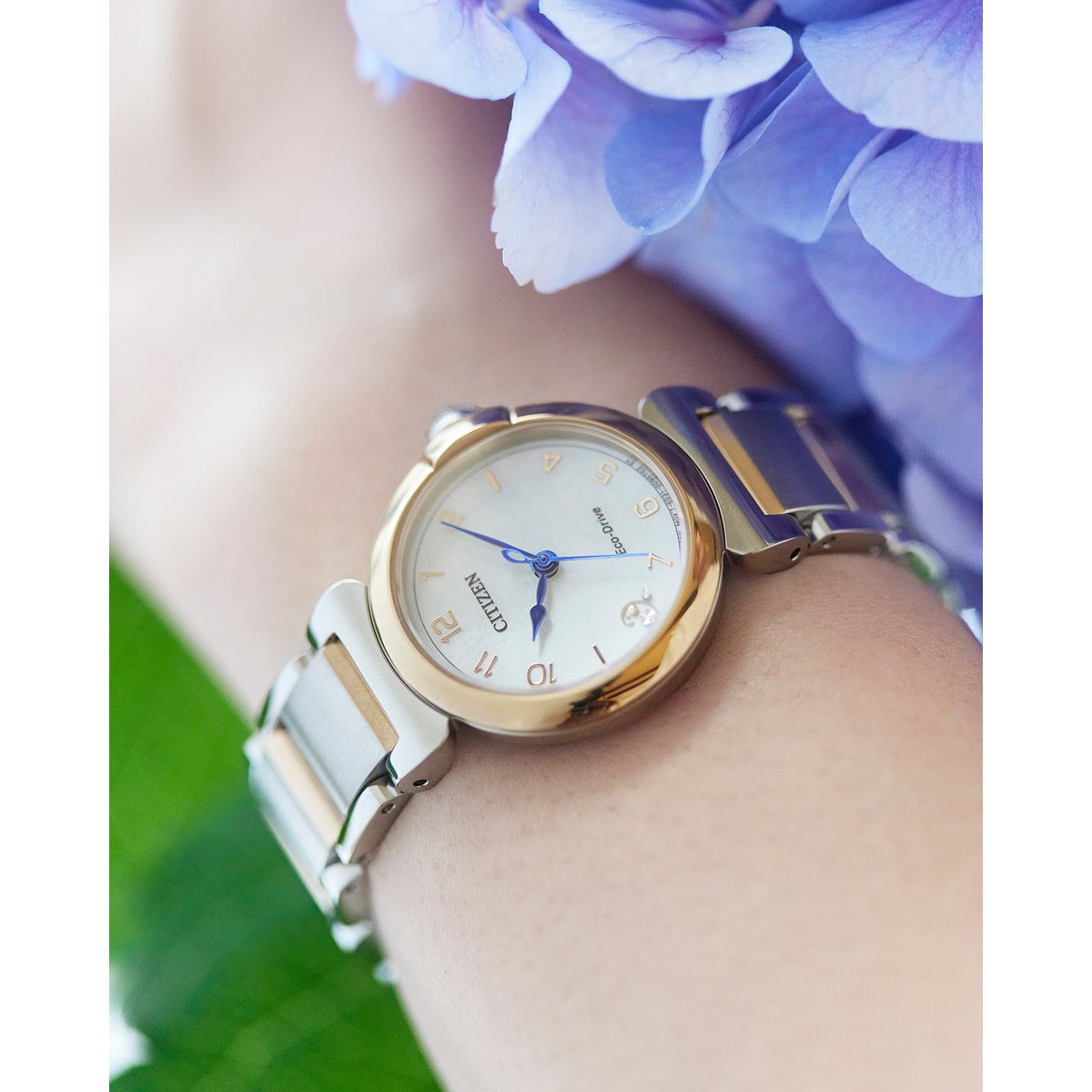 楽天市場】【店内ポイント最大41倍！本日限定！】シチズン エル