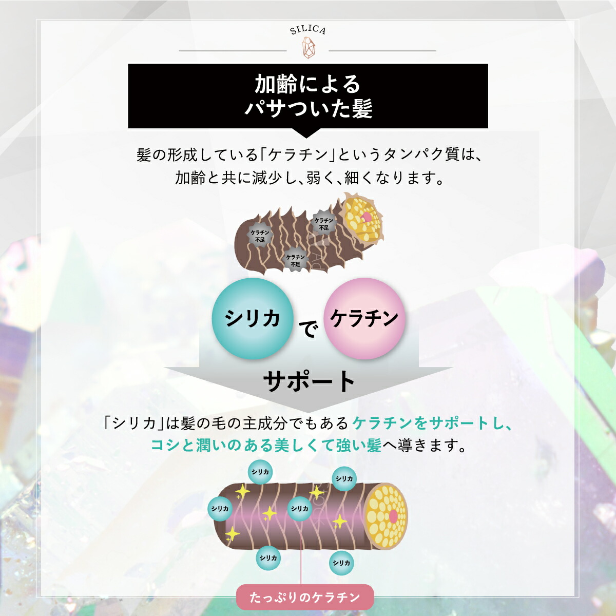楽天市場】【楽天スーパーSALE半額！】ノ・アルフレ あすなろわかさ