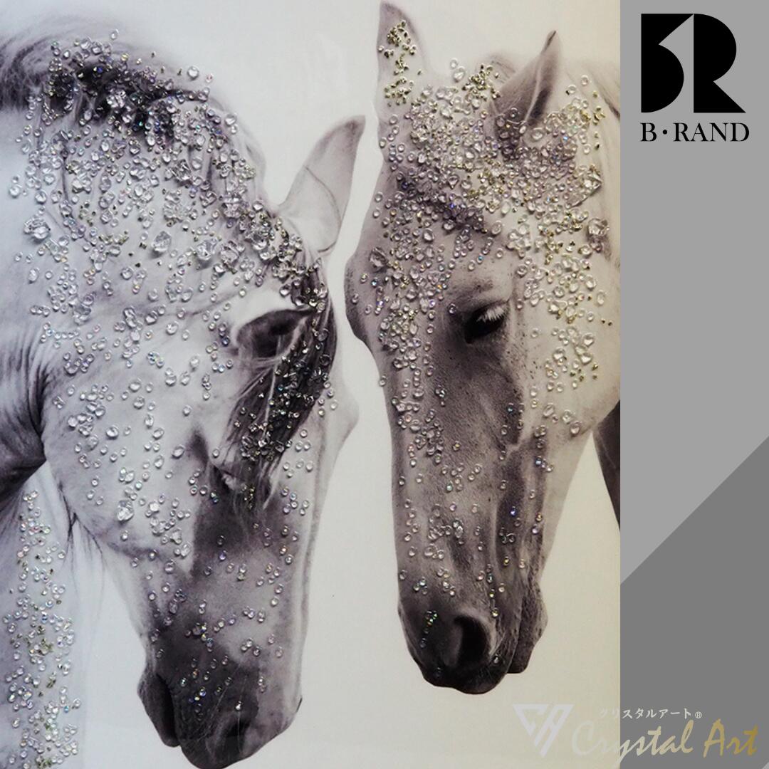 楽天市場】クリスタルアート モノクロ 47x67cm おしゃれ かっこいい