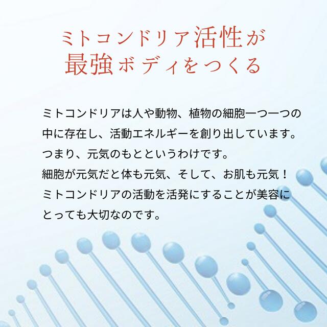 楽天市場】インターナルリセット フォーミュラ05／インパクトボディ